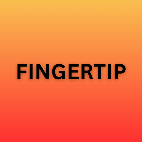 FINGERTIP - Hình ảnh 2